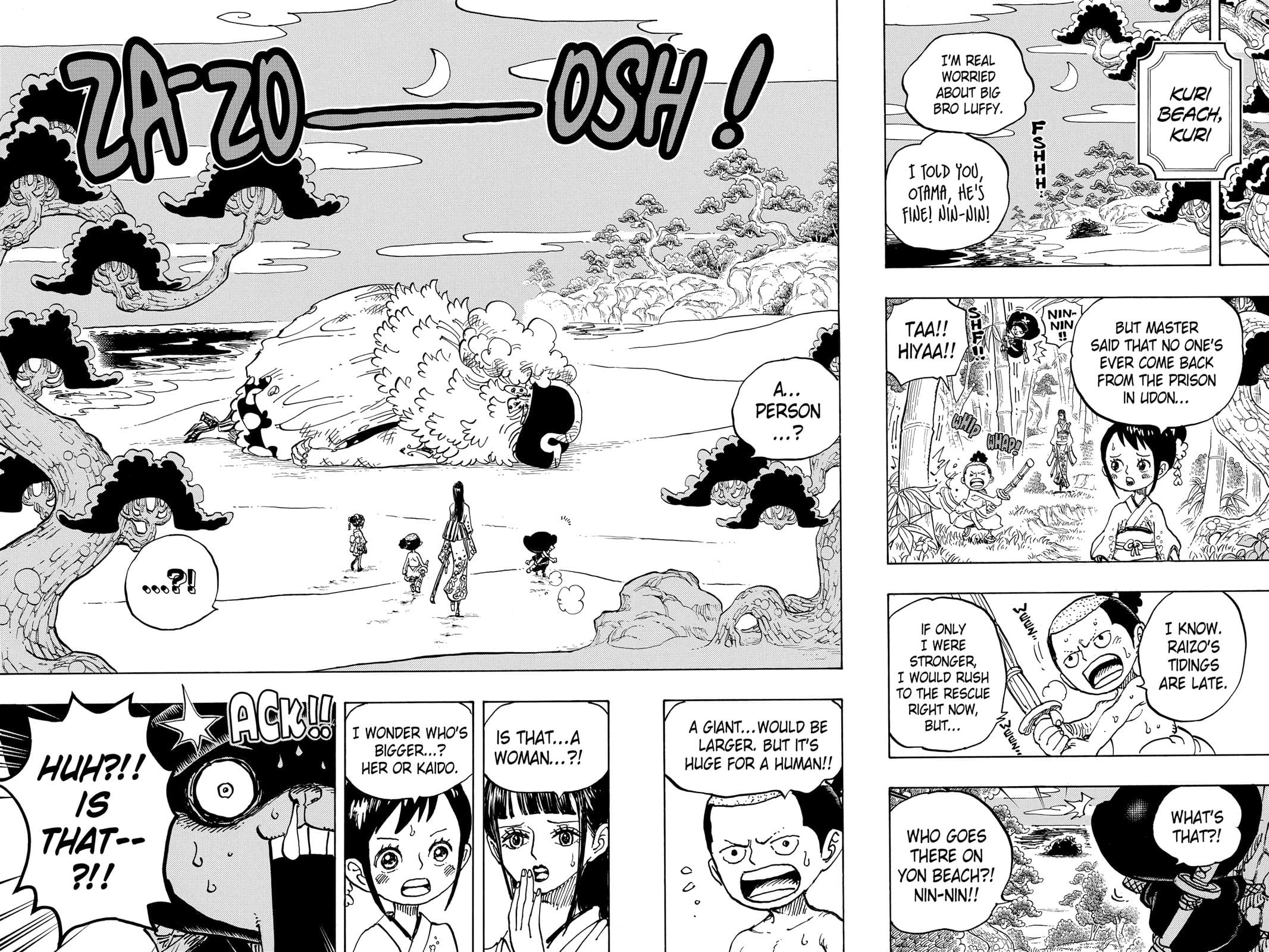 One Piece, Chapter 931 image 13